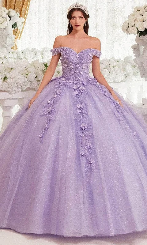 Trendy Boutiques Online Ladivine 15717 - 3D Floral Applique Ballgown