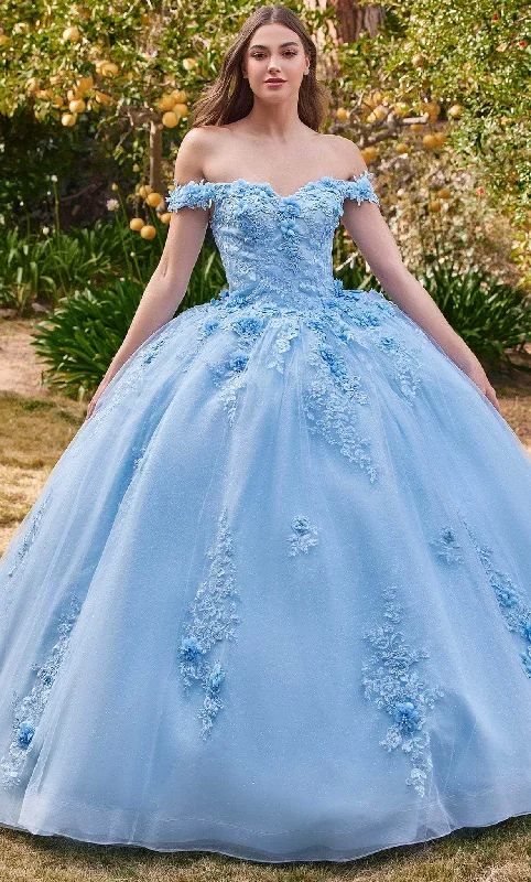 Affordable Online Boutique Cinderella Divine 15702 - Floral Applique Prom Ballgown